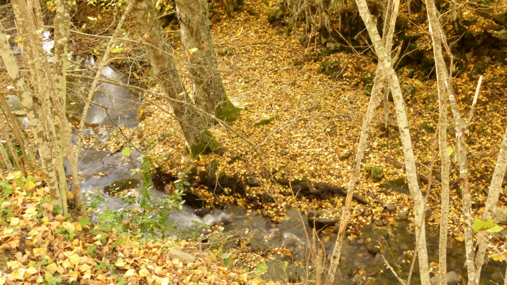 Rutas de senderismo | DEHESA DE NAVALQUEJIGO