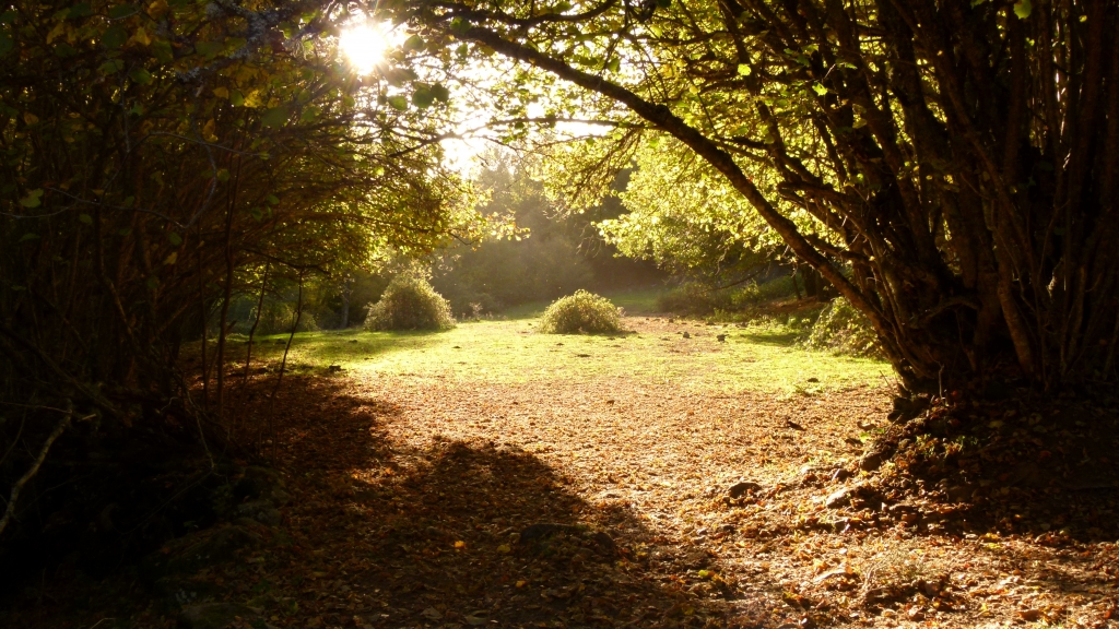 Rutas de senderismo | DEHESA DE NAVALQUEJIGO