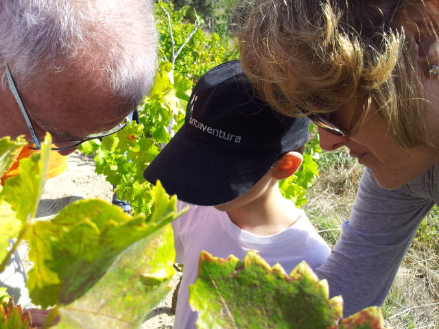 senderismo tercera excursion 