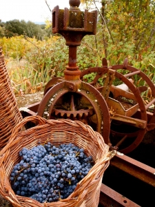 10405554_10152753298216070_4582242941792527943_n