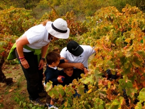 1476542_10152753309501070_1739618837632593878_n