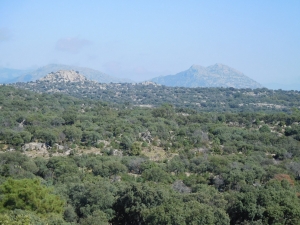 Rutas por Madrid | Dehesa de Navalquejigo