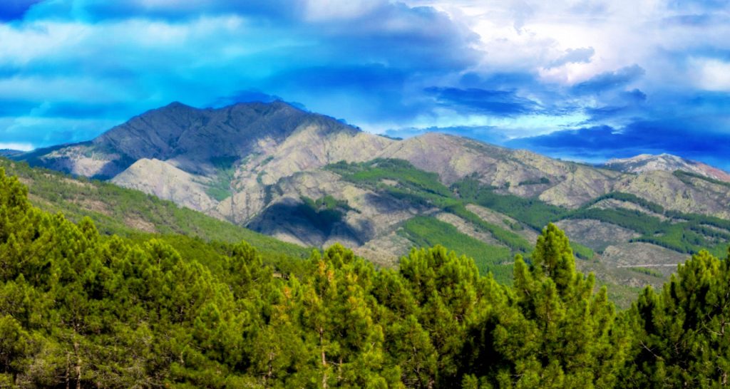 Recorre en su totalidad el valle alto del Lozoya