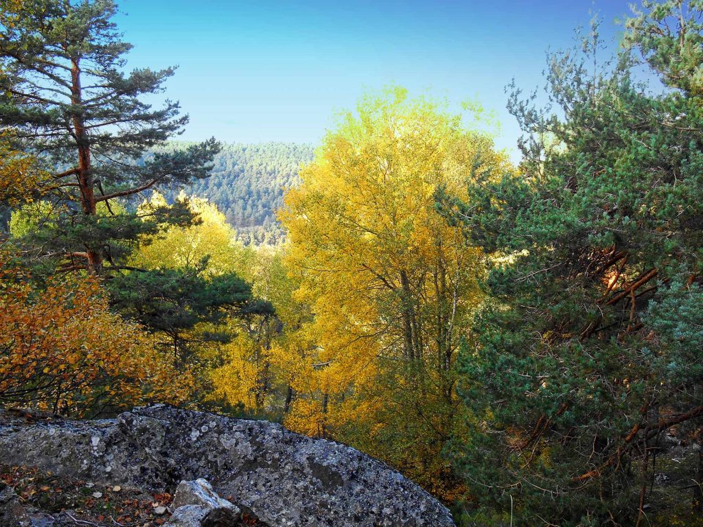 Senderismo 8 mayo en La Pedriza